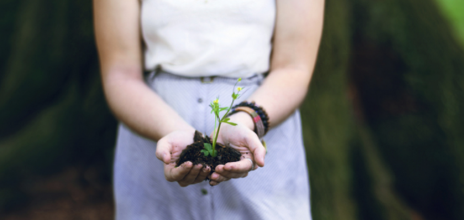 ринок землі