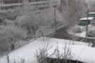 Снег