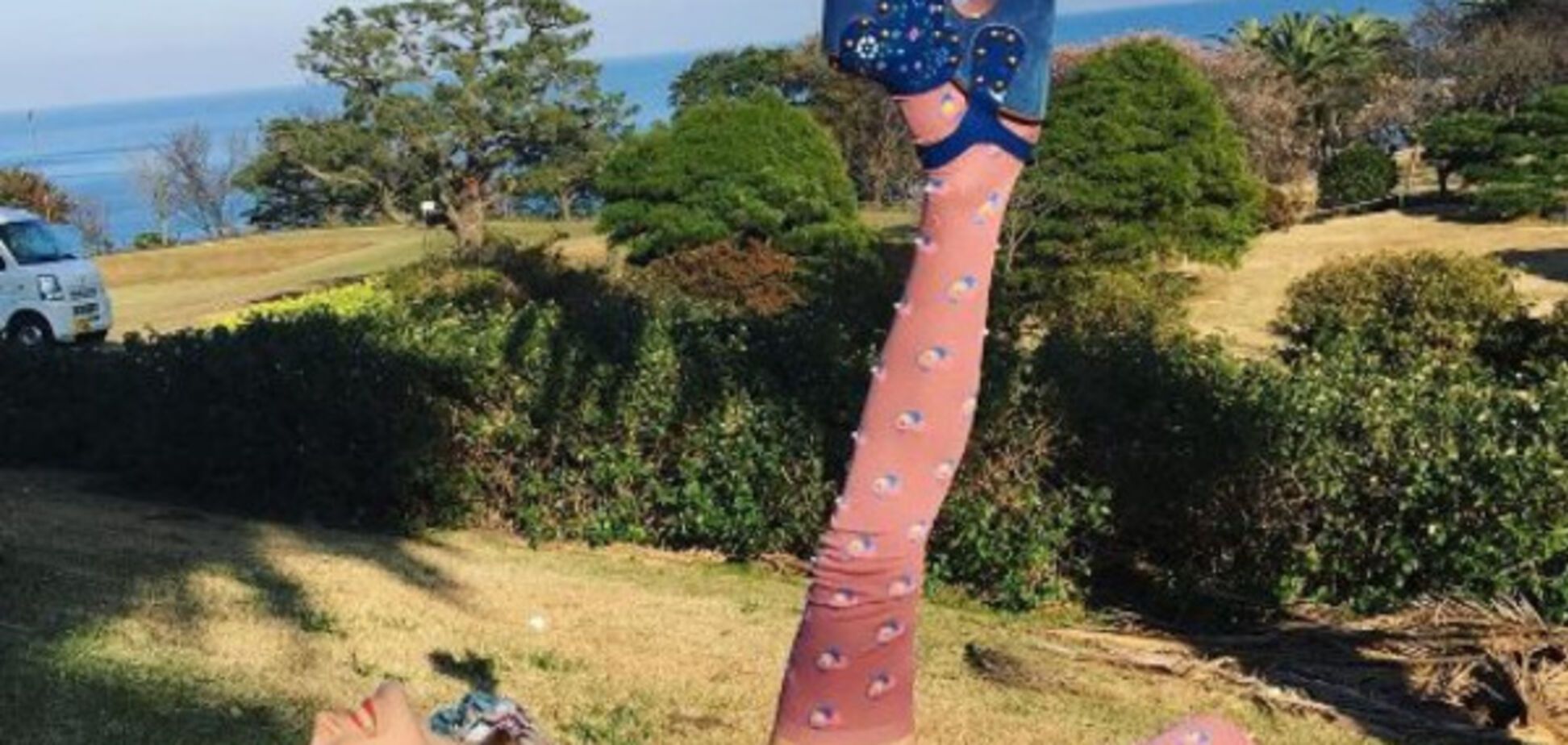 Украинская топ-модель надела мини-юбку для японского Elle