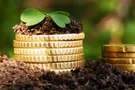 "Земельний" референдум - за авторитарним законом Януковича?!