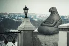 Ждун