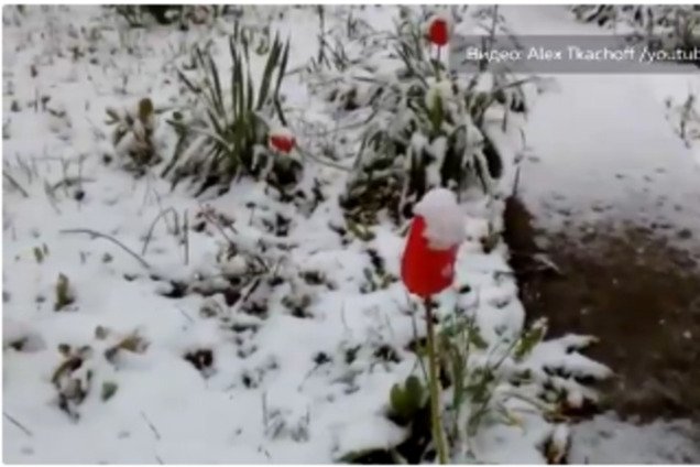 Погода в Крыму