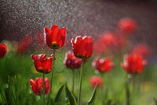 Прогноз погоды