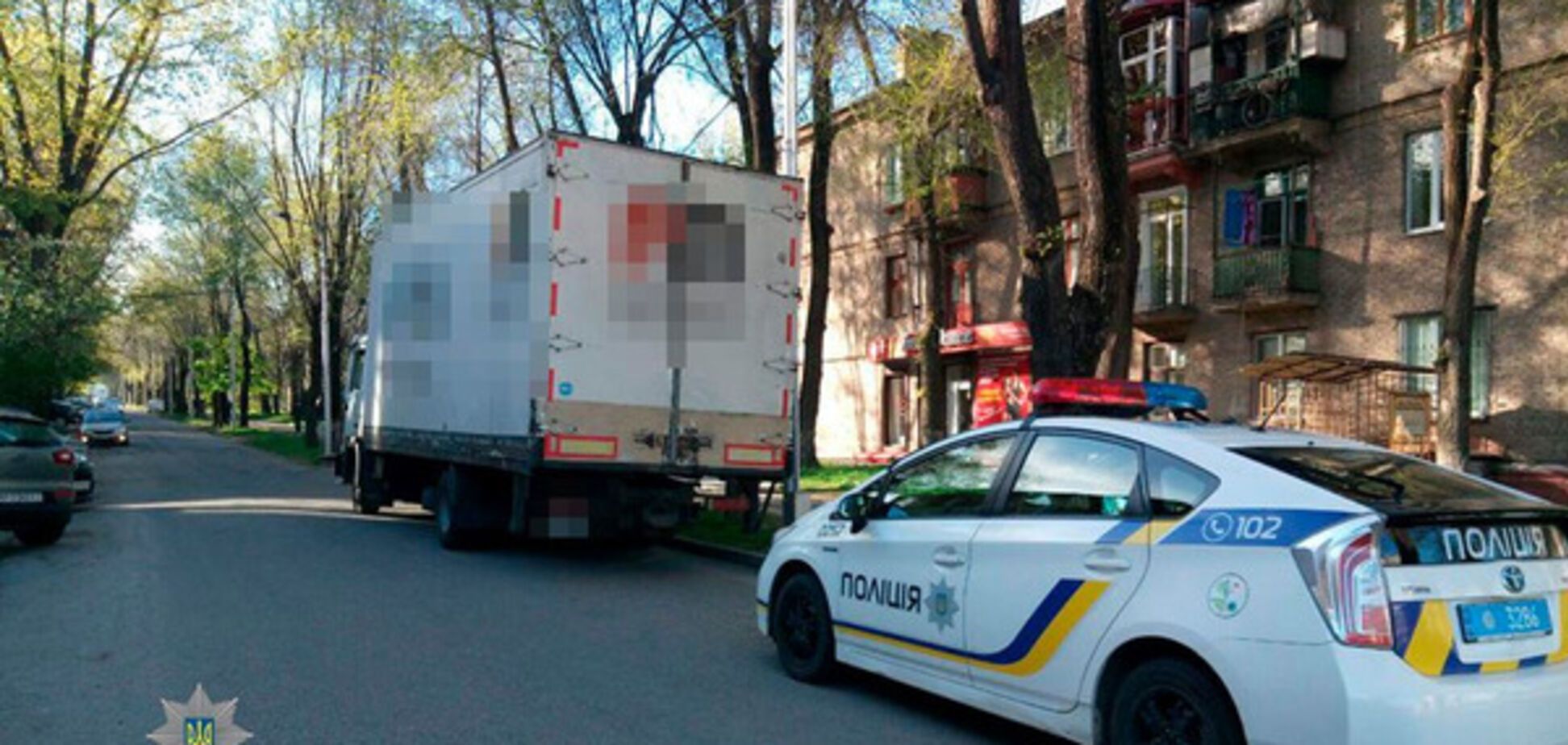 Водитель грузовика чуть не убил запорожанку (ФОТО)