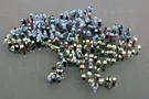 перепись населения Украина