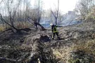 Пожар на Совских прудах