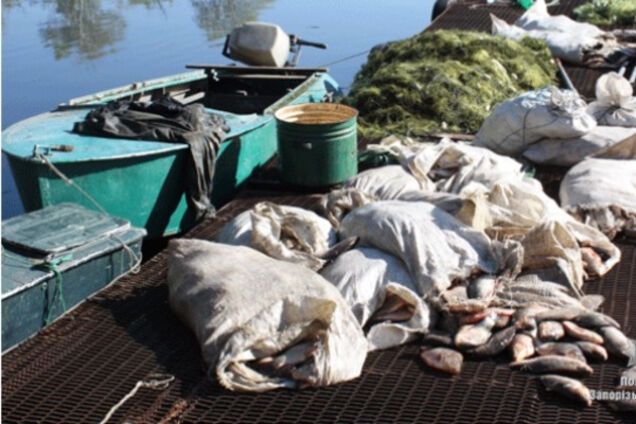 Хороший улов: полиция изъяла у запорожцев почти полтонны рыбы (ФОТО)