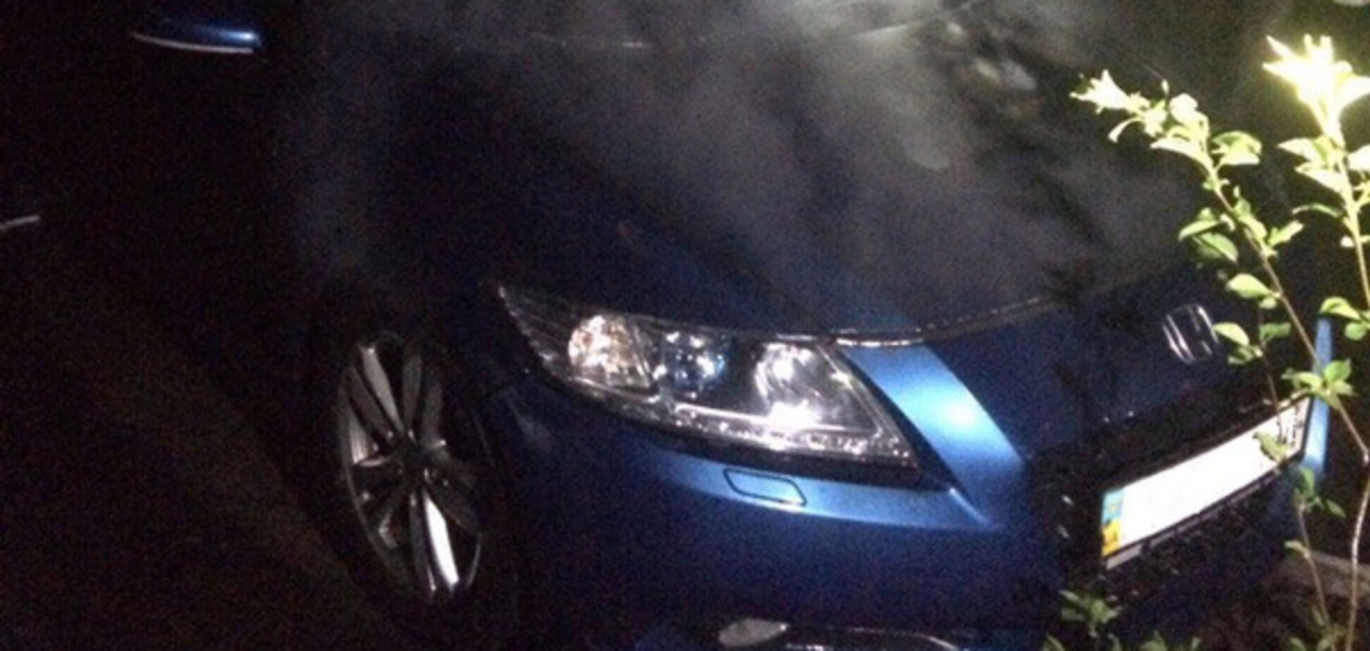 В Запорожье воспламенился гибрид (ФОТО)