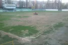 ФК Полтава