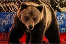 Россия, агрессия, Черногория