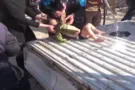 Сирия