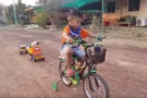 поезд для щенков