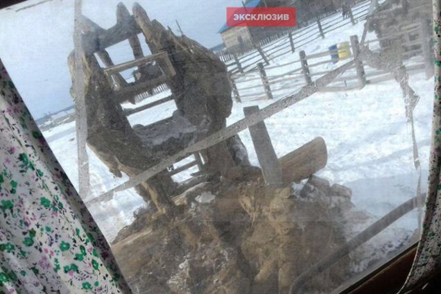 Петух из навоза