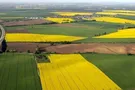 українські землі