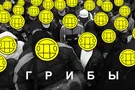 Грибы