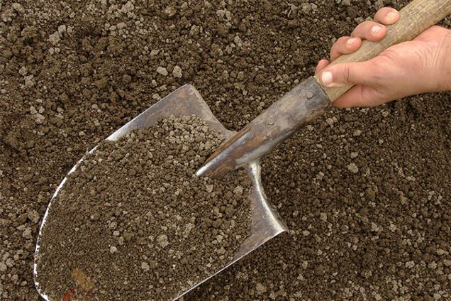 В Запорожской области мужчина оказался погребенным заживо