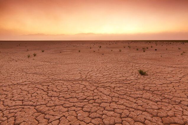 Запорожье намеренно продолжают превращать в пустыню