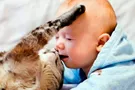 ребенок и кошка