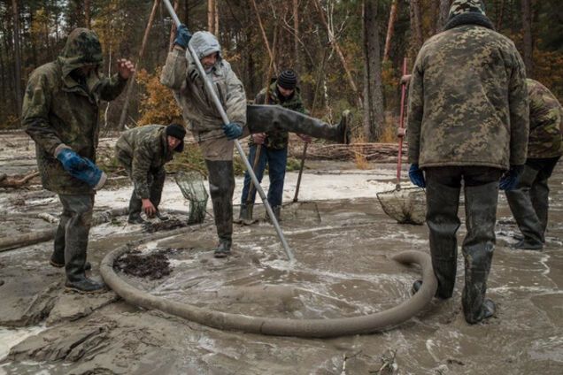 Нелегальная добыча янтаря в Украине