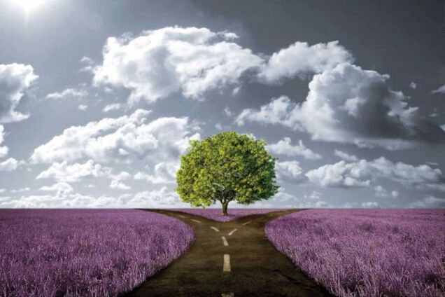 судьба две дороги