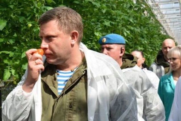 'Пока Захарченко нюхал помидоры': в 'ДНР' сообщили о серьезных проблемах
