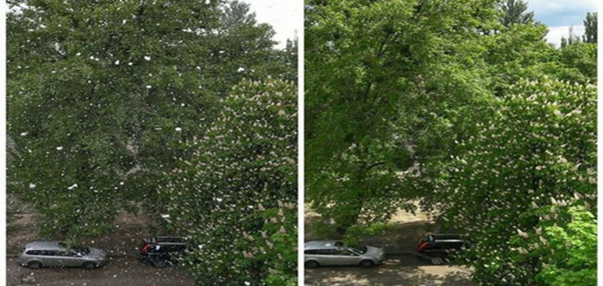 снег в Киеве