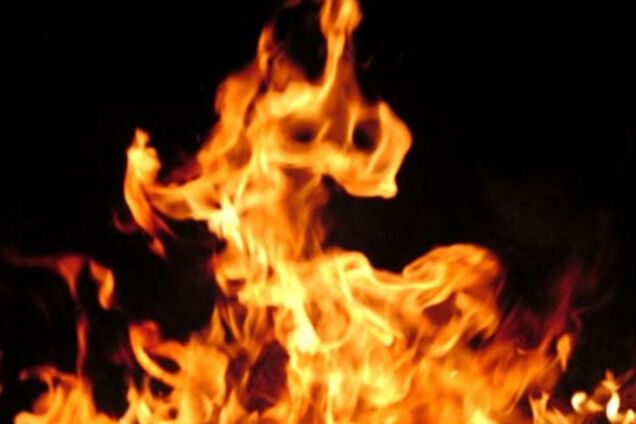 Запорожцы спасли своего соседа от верной смерти