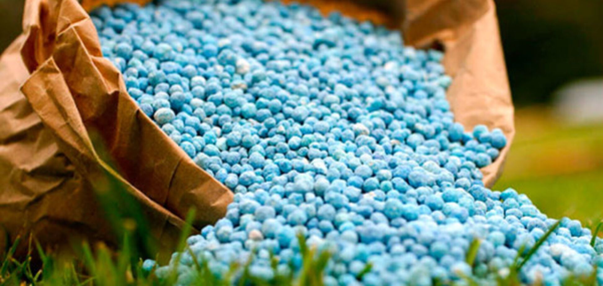 Аналитик утверждает, что Кабмин создал монополию РФ на украинском рынке минудобрений