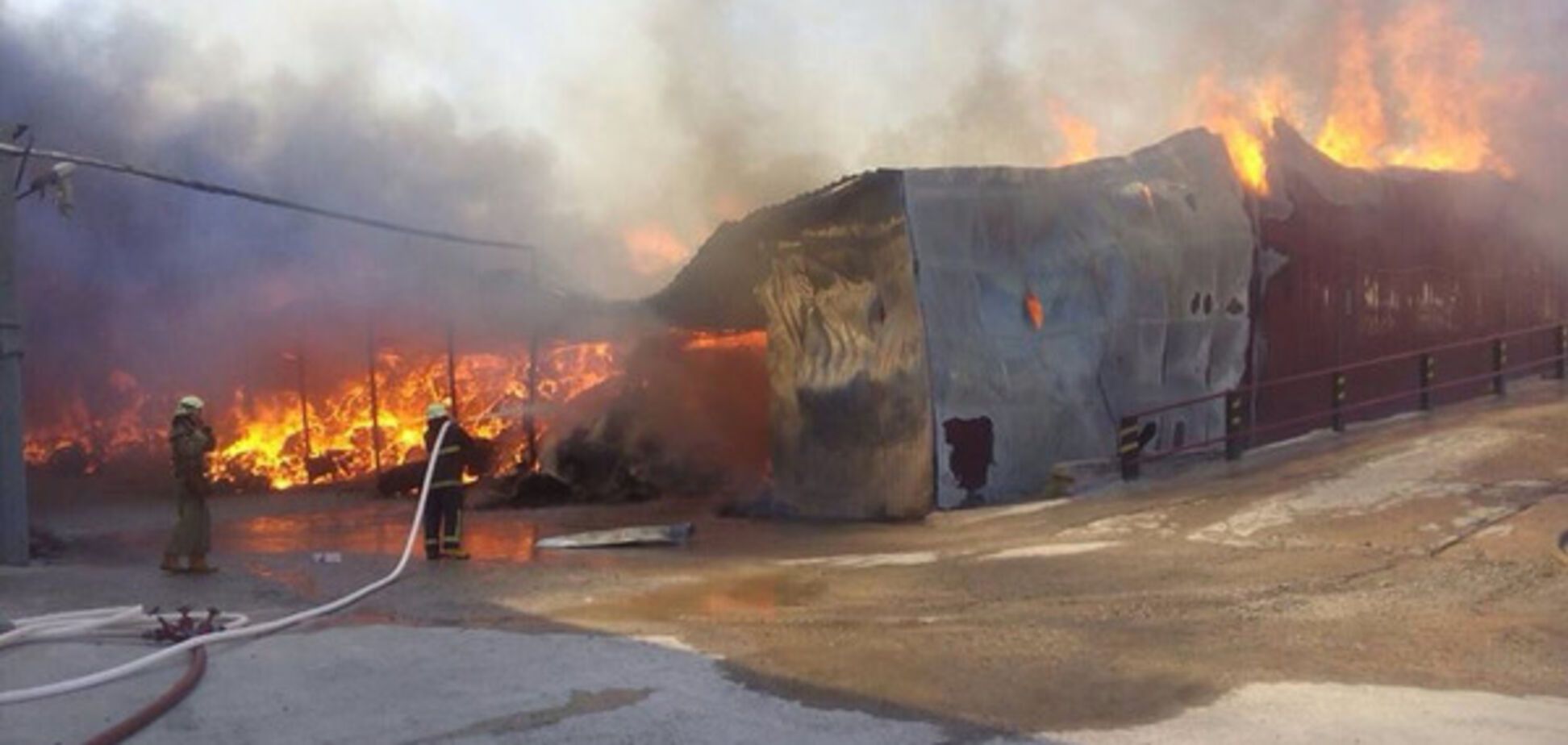 Под Киевом произошел масштабный пожар: все подробности