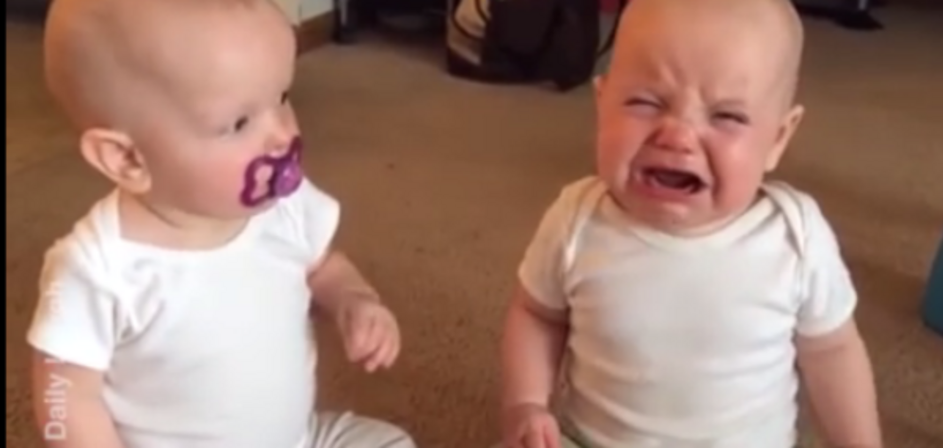 Важкі будні близнят: мережу підкорило відео з малюками, що б'ються за пустушку
