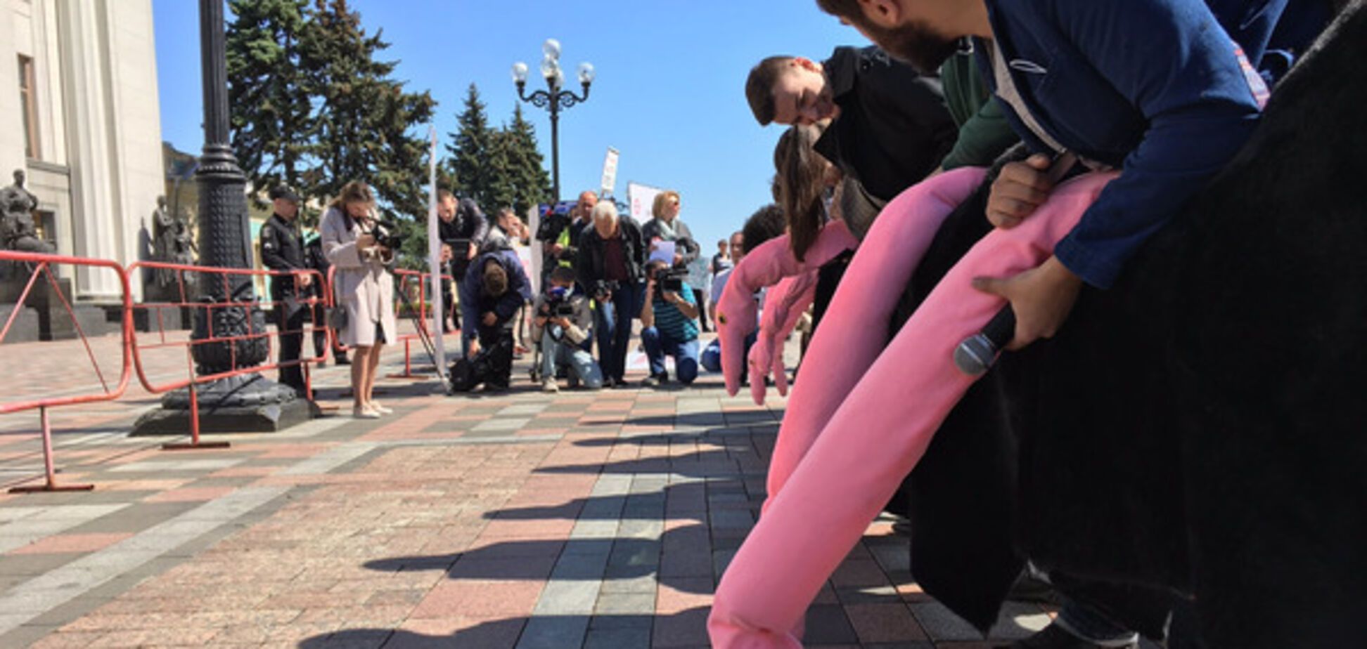 Верховная рада страусы