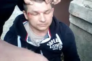 Вести