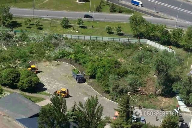 Вырубка леса в Киеве