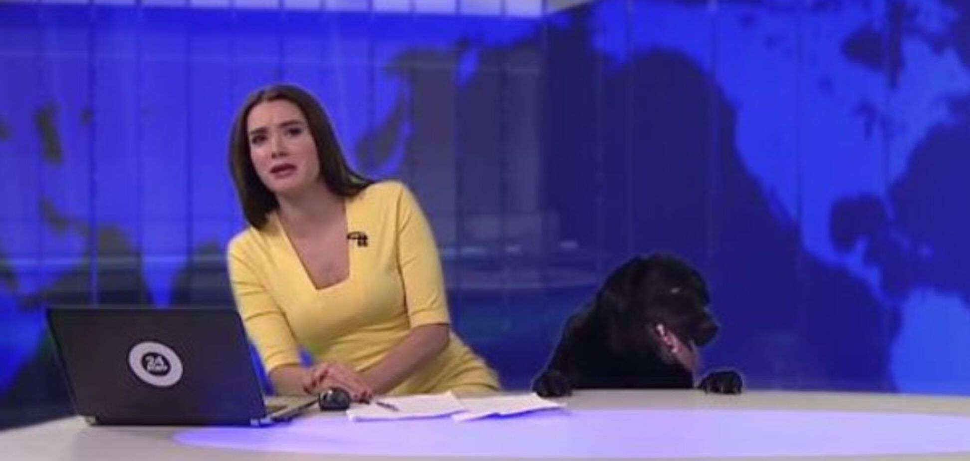 На диктора в ефірі 'накинулася' собака: реакція дівчини вразила соцмережі