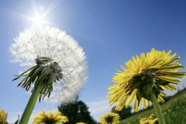 Украина переходит на латиницу: как это пережить