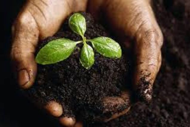 Украинская земля