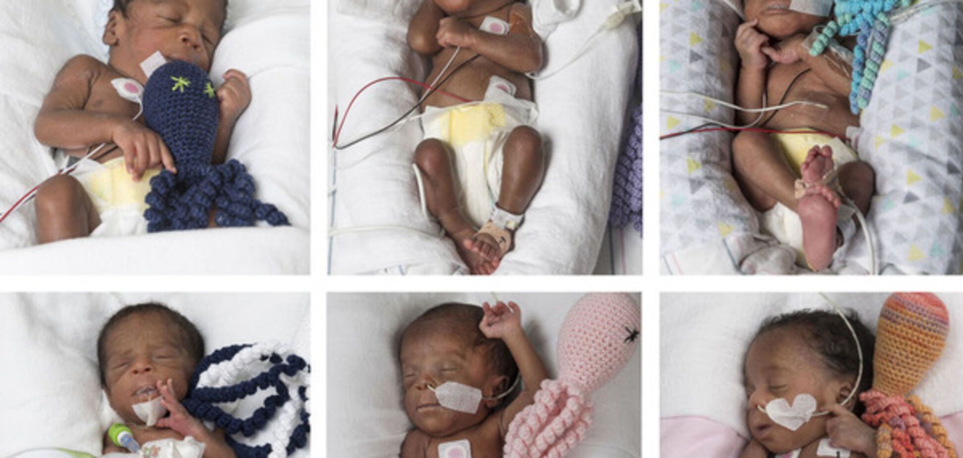 Шестернята