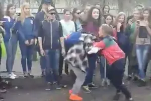 Чернігівська банда
