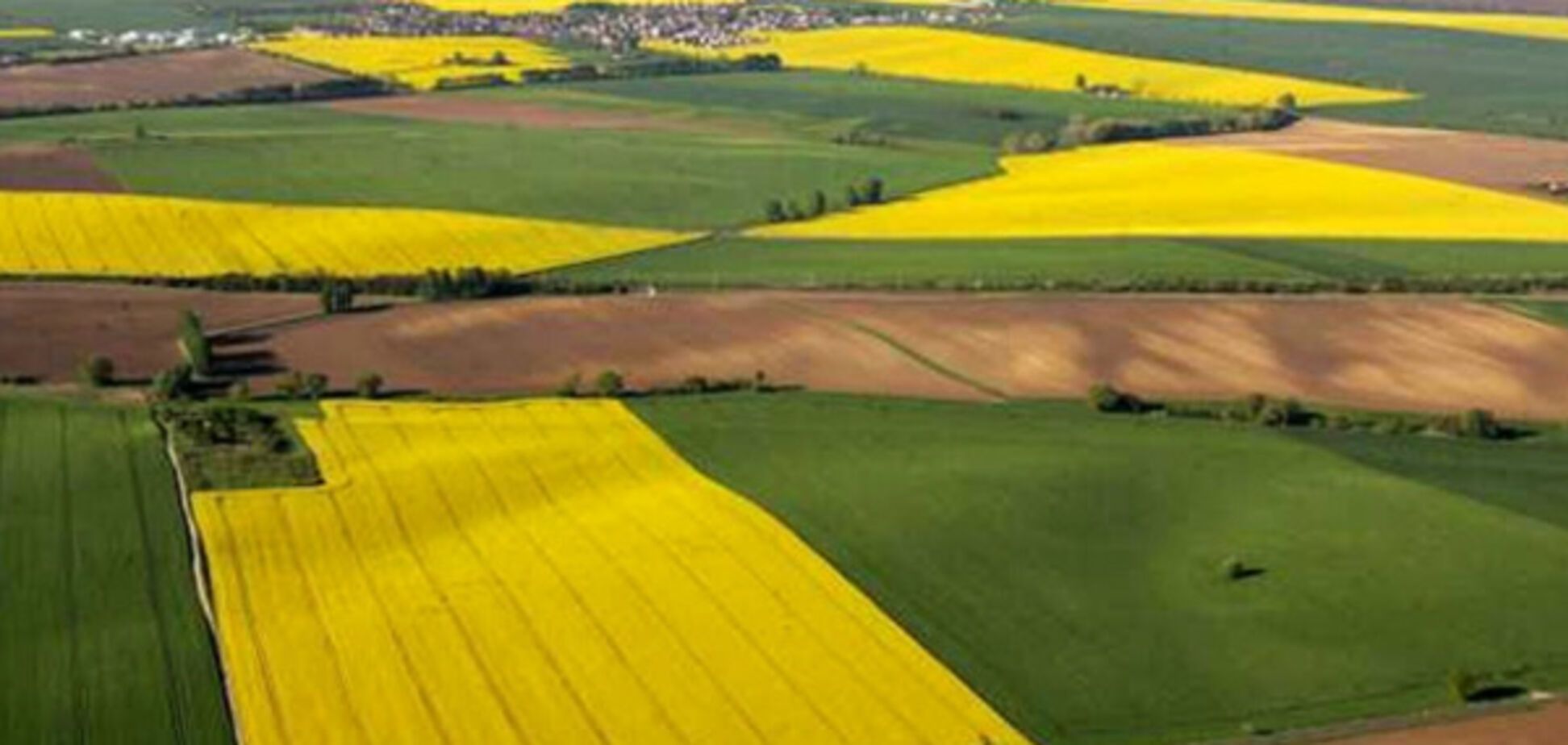Нова модель земреформи від Кабміну дозволить фермерам вигідно купити землю