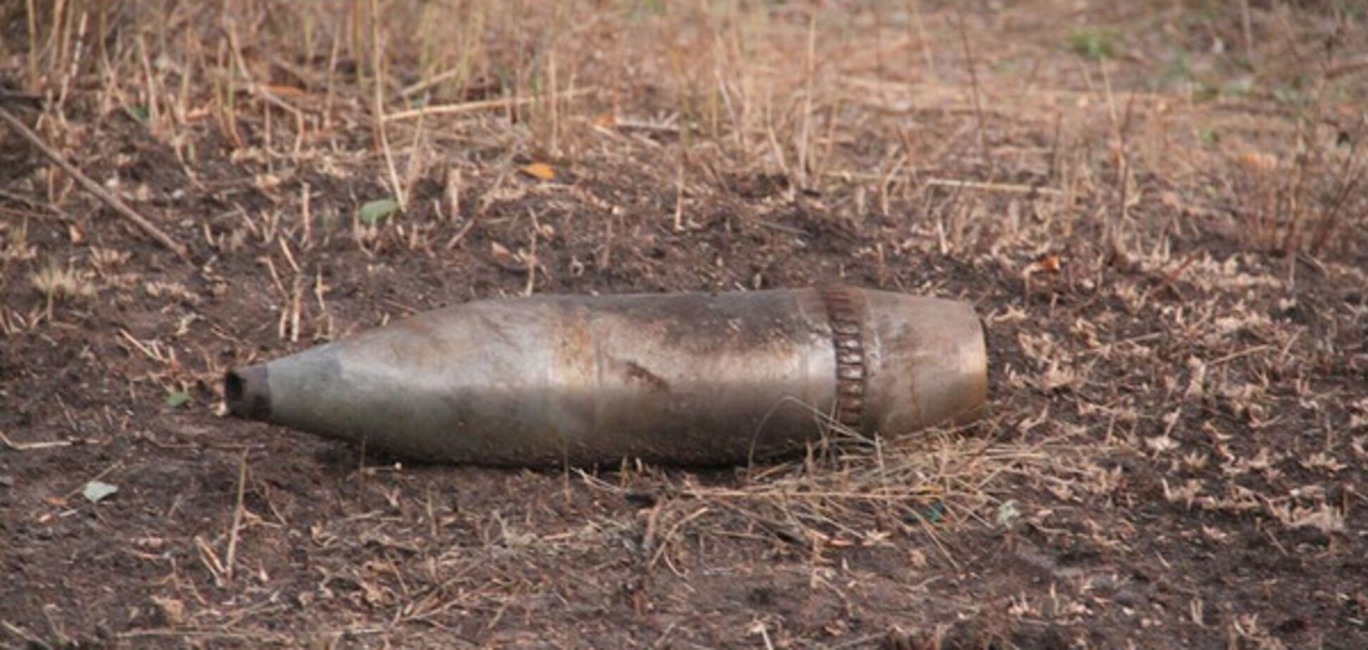 В Запорожской области нашли два взрывоопасных артснаряда