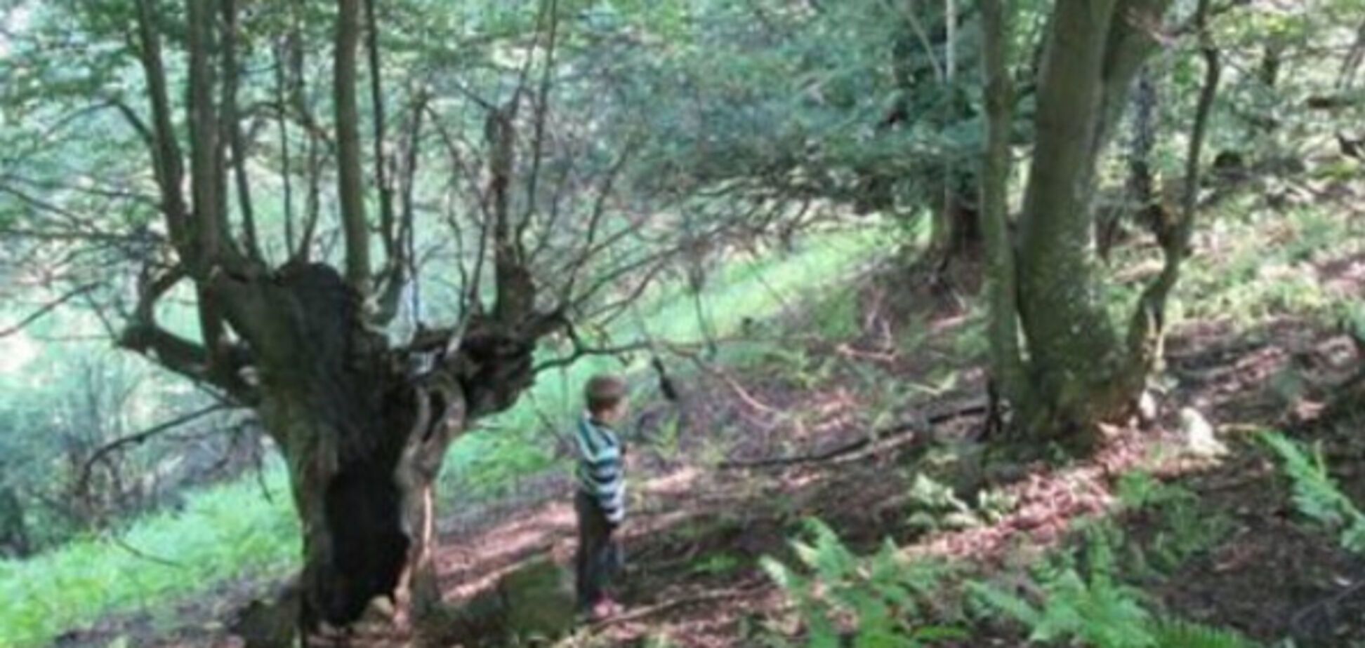 підстрелив дитину