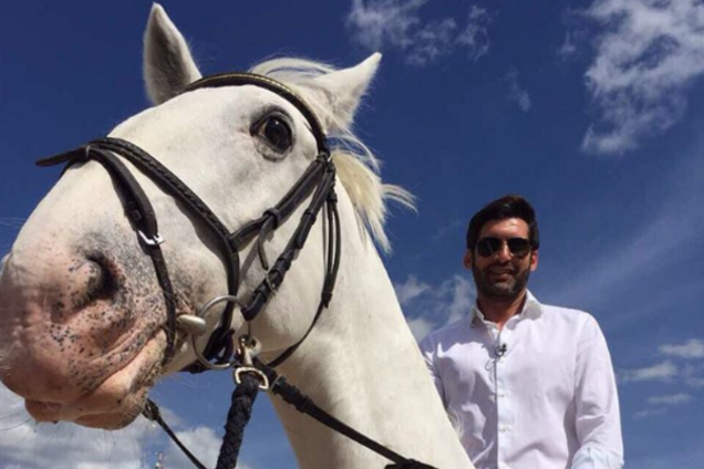 Паулу Фонсека лошадь