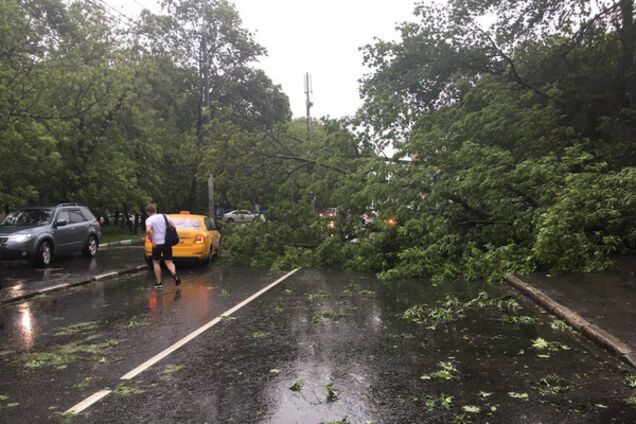 Ураган в Москве