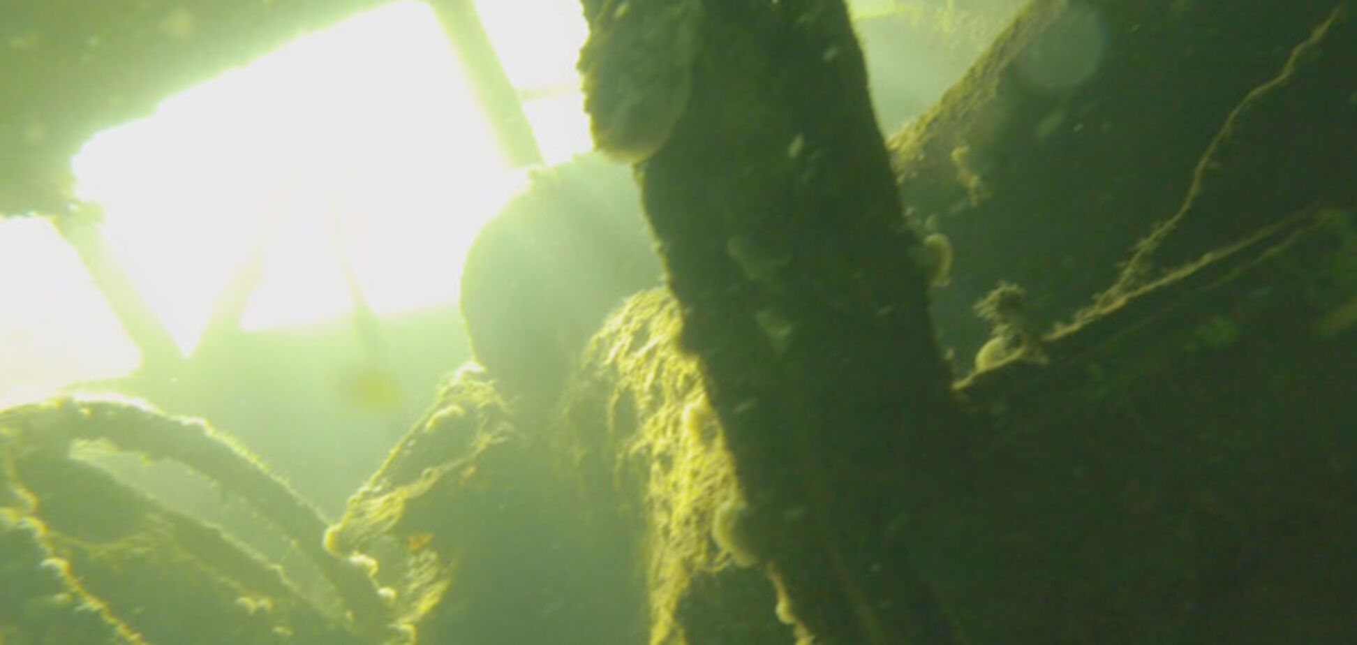 Пропавших жителей Донецка нашли на дне озера в Запорожской области (ВИДЕО)