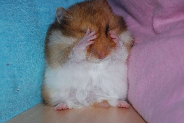 Первые майские позади: настраивайтесь на работу вместе с Обозреватель.LIVE