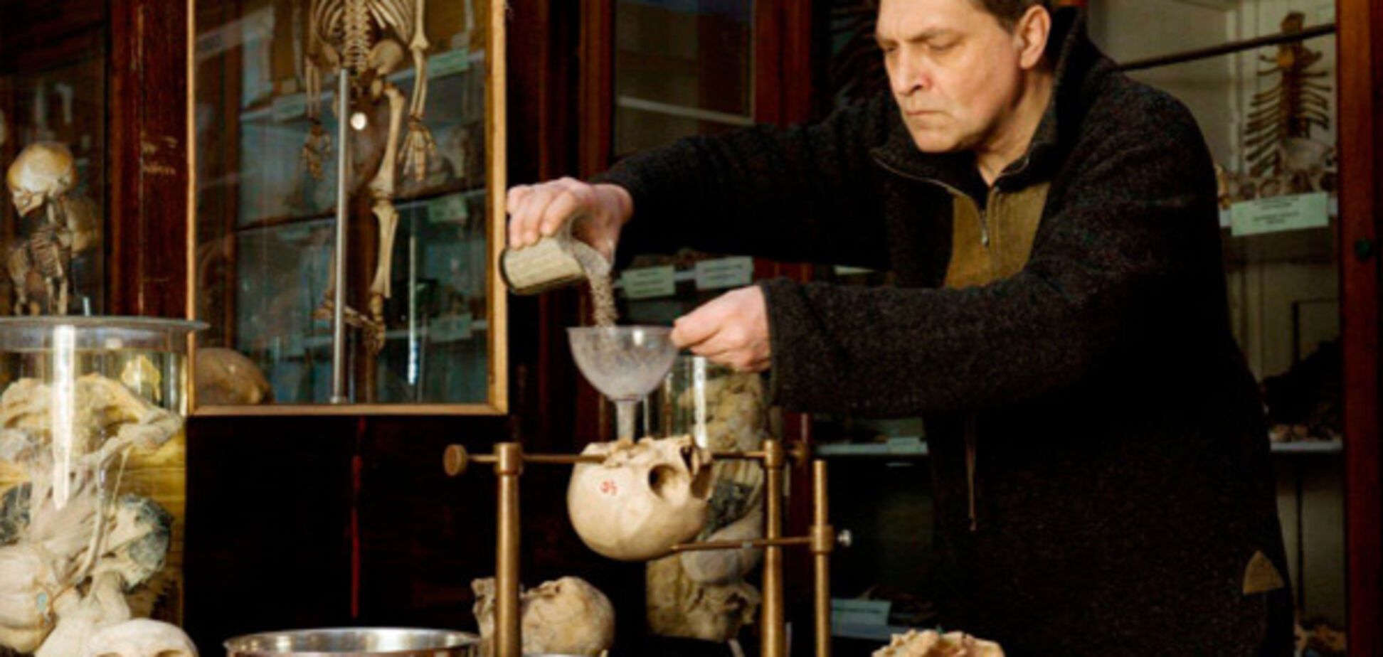 александр невзоров