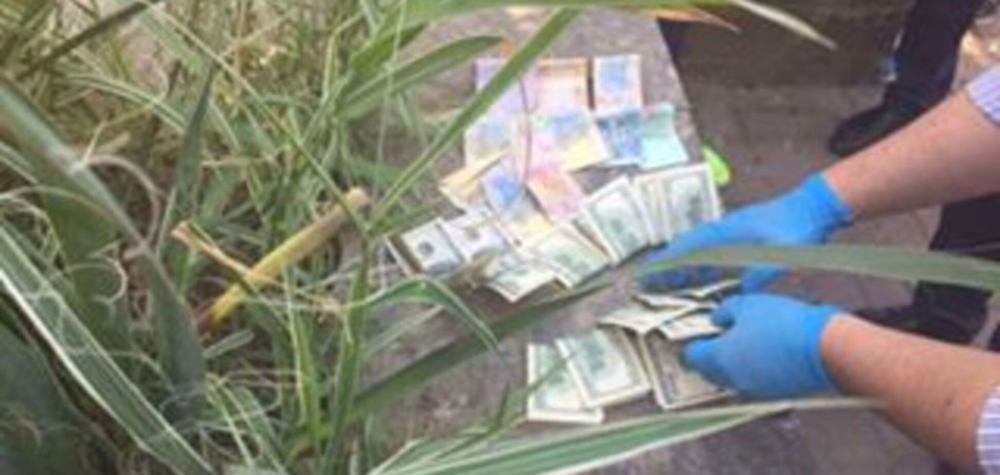 Поймали на взятке