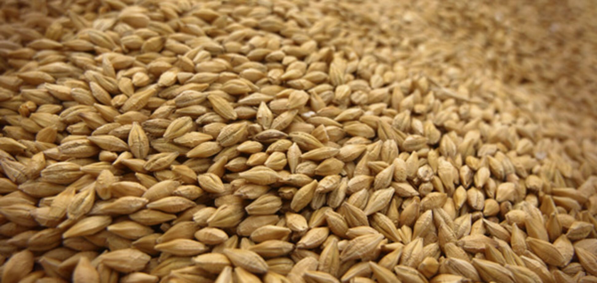 Україна експортувала понад 40 млн тонн зерна