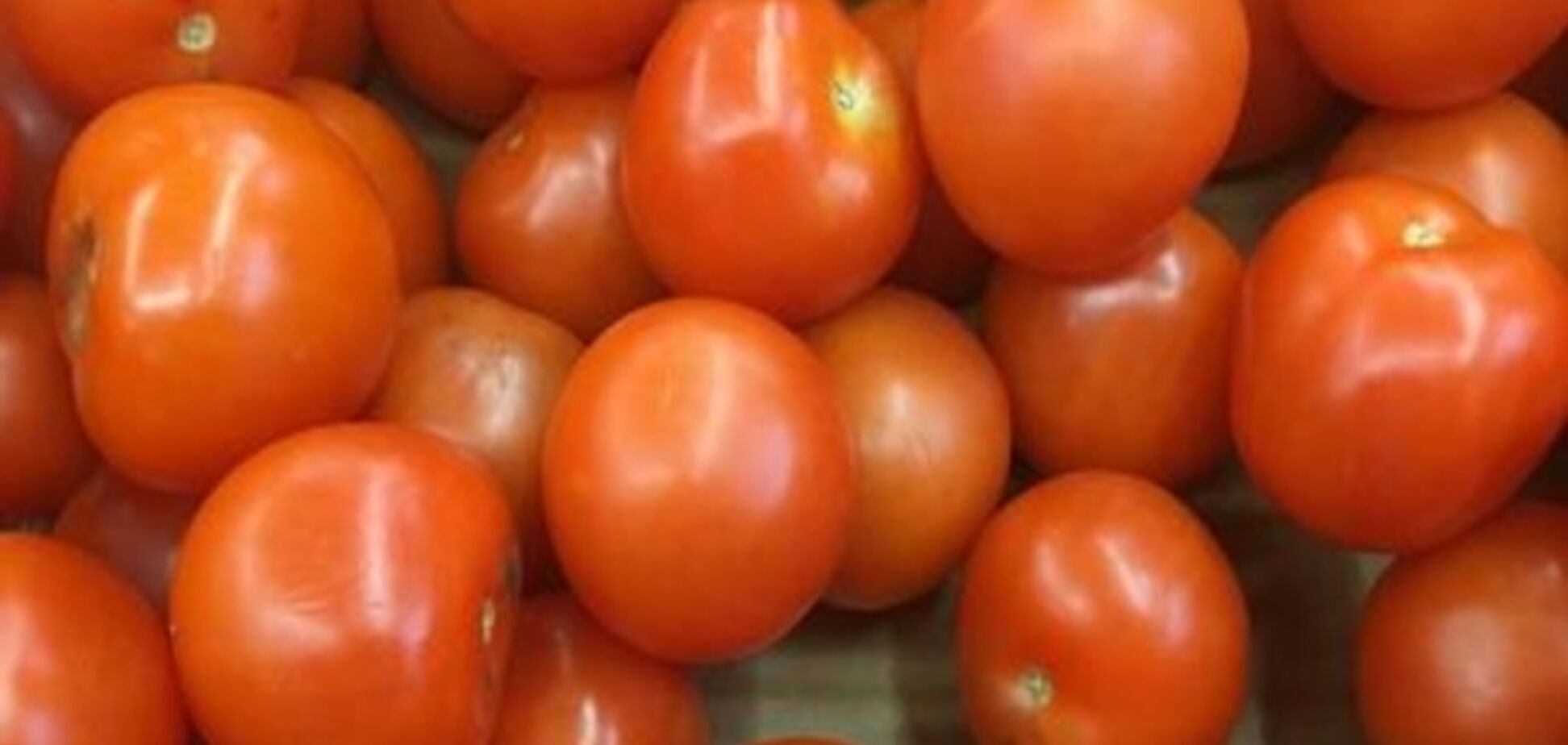 Росія частково скасовує санкції проти Туреччини, але помідорів це не стосується