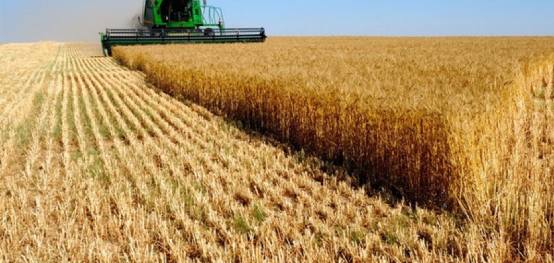 Агробизнес в Украине